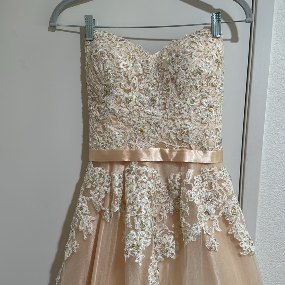 ANNY LEE Elegant Champagne Gown Strapless